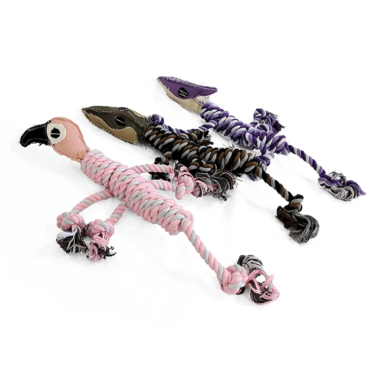 Juguete de cuerda de dinosaurio
