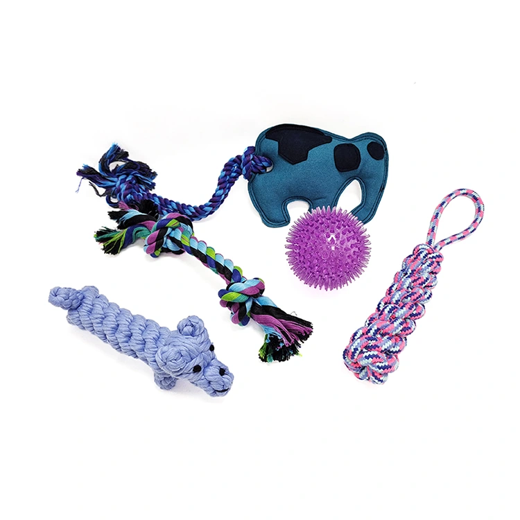 Conjunto de 5 juguetes para perros